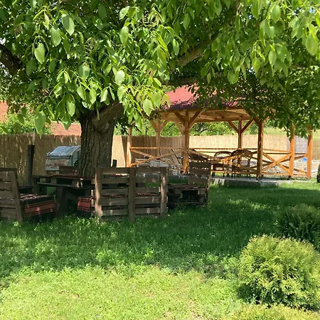 Merak Std Country house Vranje